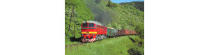117-2022 Pohlednice, Motorová lokomotiva T 679.1168 na trati Kremnica - Horná Štubňa, Letohradský železniční klub
